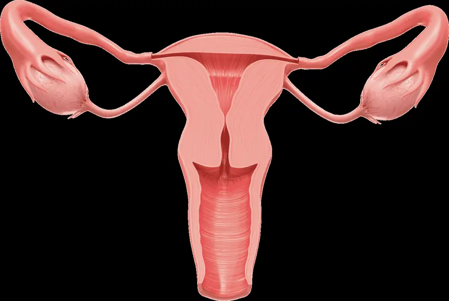 PCOS / PCOD